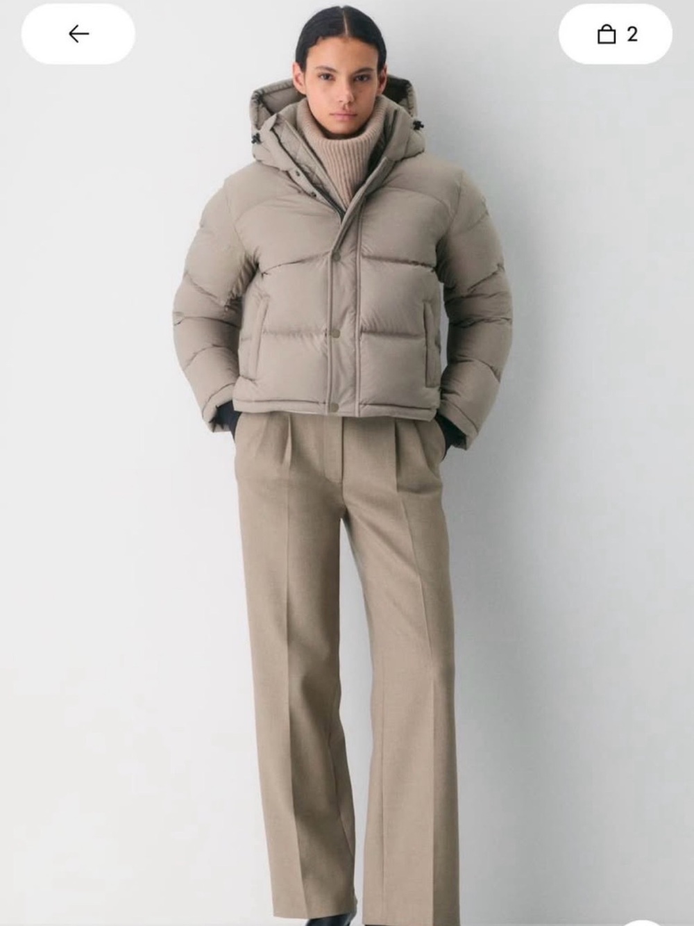 Aritzia Taupe Short Puffer Jacket with Hood